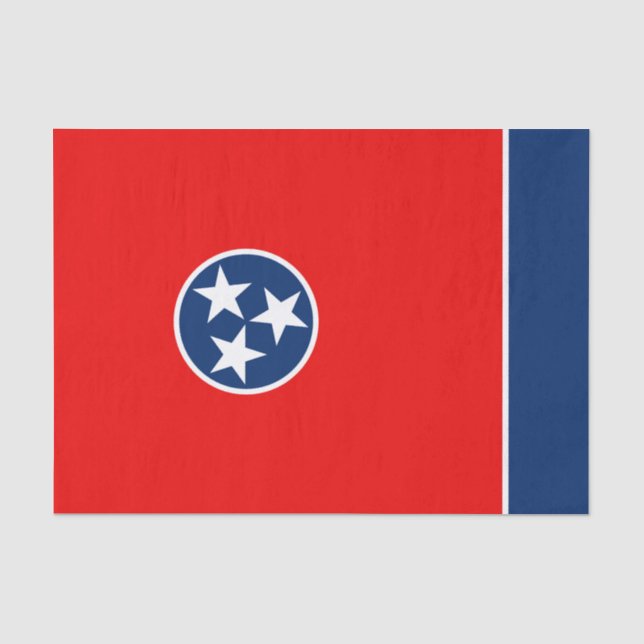 Papier Mousseline Dynamic Tennessee (Recto)