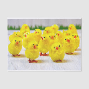 Papier Mousseline Easter Decoration