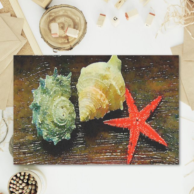 Papier Mousseline eau de plage coquillage étoile de mer coquillages (beach watercolor seashell starfish seashells tissue paper)