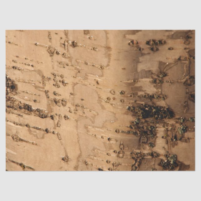 Papier Mousseline Écorce (Recto)