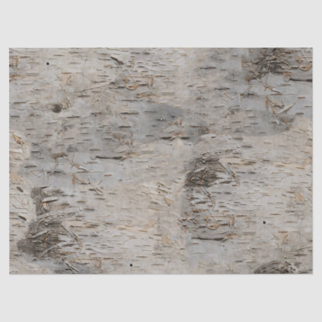 Papier Mousseline Écorce de bouleau (Recto)