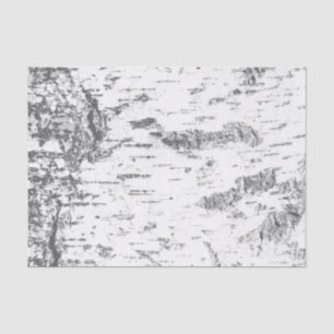 Papier Mousseline Écorce de bouleau - Simple rustique