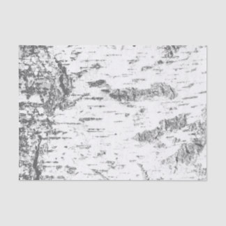 Papier Mousseline Écorce de bouleau - Simple rustique