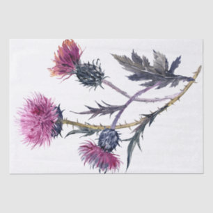 Papier Mousseline Écossais Highland Thistle Watercolor