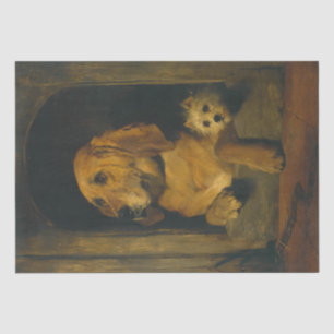Papier Mousseline Edwin Landseer Dignité et confusion des puds