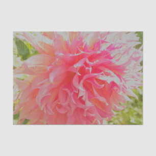 Papier Mousseline Elégant corail et Dahlia décoratif rose