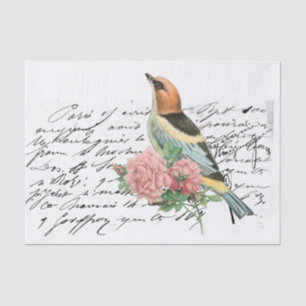 Papier Mousseline Élégant Ephémère des oiseaux