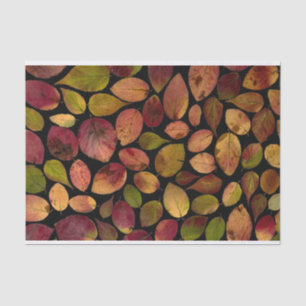 Papier Mousseline Élégant Feuille d'érable Automne Motif d'automne