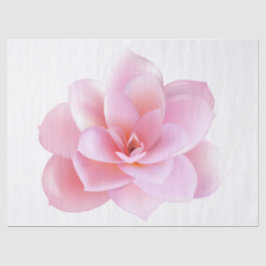 Papier Mousseline Élégant Floral Moderne