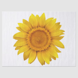 Papier Mousseline Élégant Floral Moderne