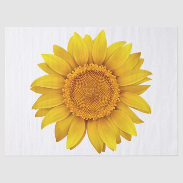 Papier Mousseline Élégant Floral Moderne (Recto)