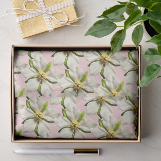 Papier Mousseline Élégant Magnolia Fleur Rose Mariage (Cadeau)
