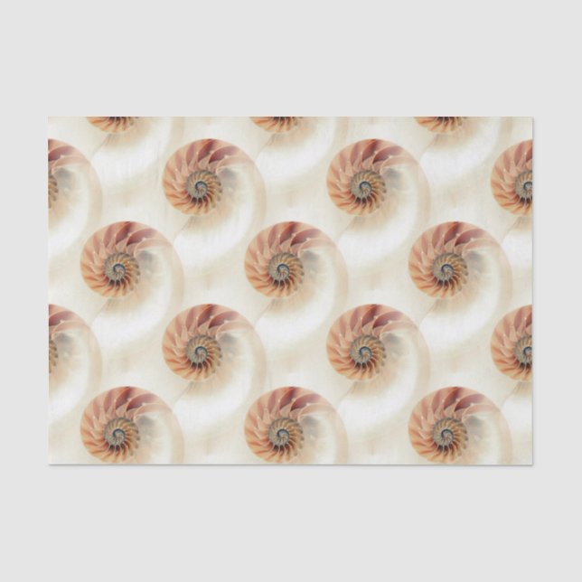 Papier Mousseline Élégant Motif Shell (Recto)