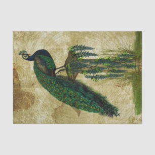 Papier Mousseline Elégant Peacock