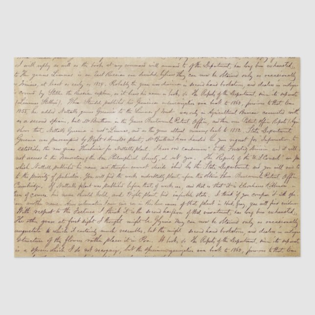 Papier Mousseline Élégant script manuscrit Vintage (Recto)