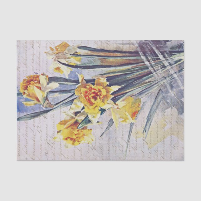 Papier Mousseline Élégant Vintage Daffodils Fleurs (Recto)