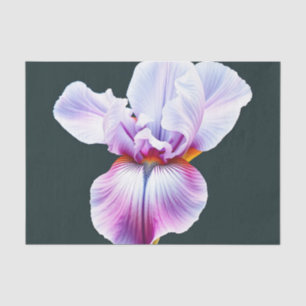 Papier Mousseline Elégante aquarelle Fleur d'Iris avec pétales délic