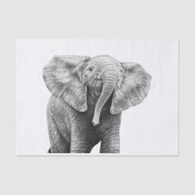 Papier Mousseline Éléphant africain de bébé (Recto)