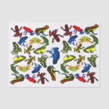Empoisonnez les grenouilles de dard, grenouille