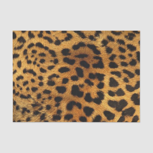 Papier Mousseline empreinte de léopard girly de guépard animal (Recto)