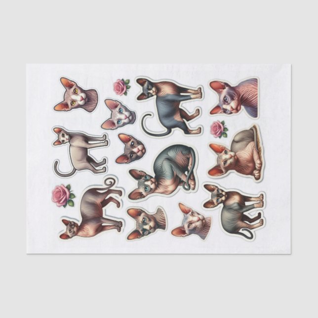 Papier Mousseline Ensemble de chats Sphynx sans cheveux (Recto)