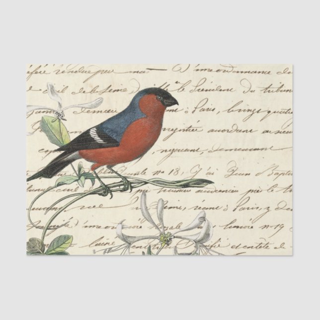 Papier Mousseline Ephemera Bird et Script (Recto)
