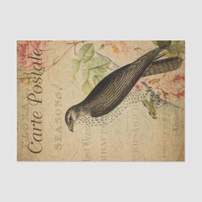 Papier Mousseline Ephemera Buzzard Bird of Prey Découpage (Recto)
