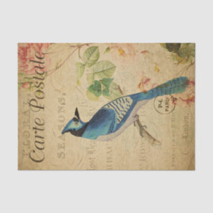 Papier Mousseline Ephemera Carte Postale Française Blue Jay Déchoupa