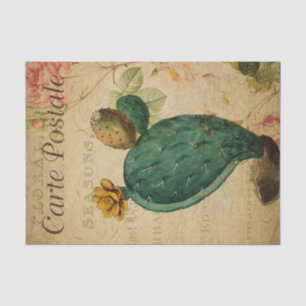 Papier Mousseline Ephemera Carte Postale Française Cactus Découpage 