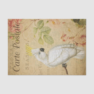 Papier Mousseline Ephemera Carte Postale Française Cockatoo Déchoupa