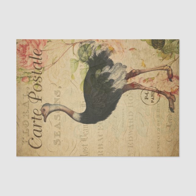 Papier Mousseline Ephemera Carte Postale Française Découpage Ostrich (Recto)
