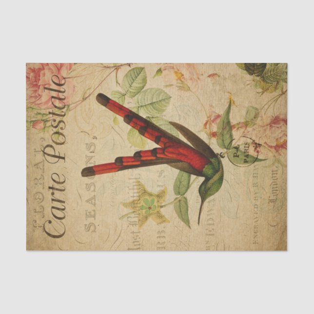 Papier Mousseline Ephemera Carte Postale Française Hummingbird Decou (Recto)