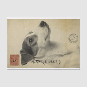 Papier Mousseline Ephemera Carte Postale Française Jack Russel Terri