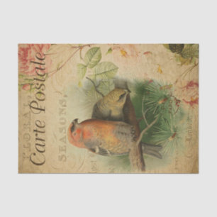 Papier Mousseline Ephemera Carte Postale Française Oiseaux Découpage