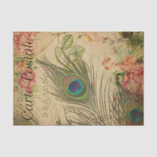 Papier Mousseline Ephemera Carte Postale Française Peacock Plumes Dé