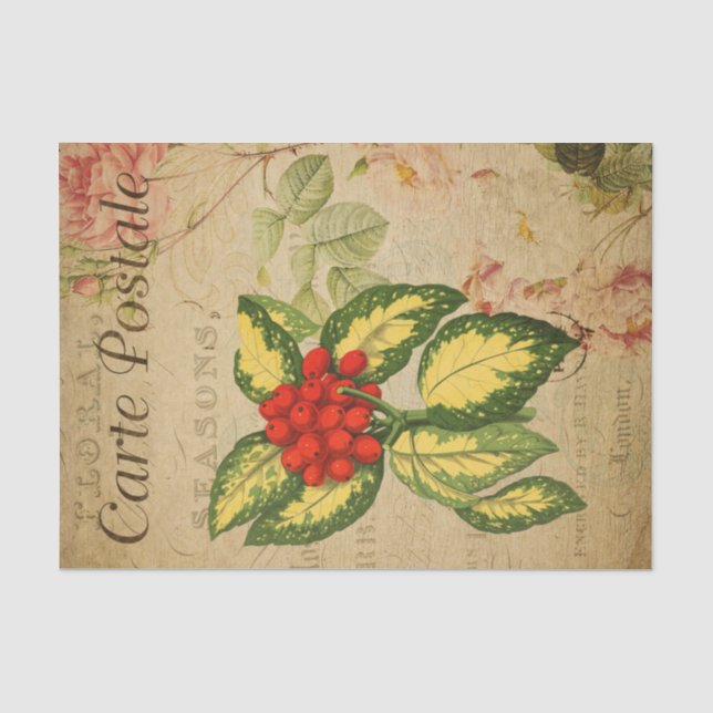 Papier Mousseline Ephemera Carte Postale Française Red Berries Décou (Recto)