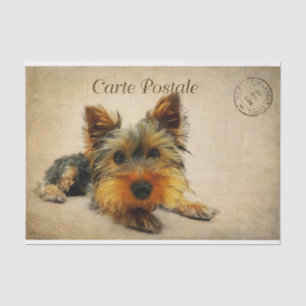 Papier Mousseline Ephemera Carte Postale Française Terrier Chien Déc