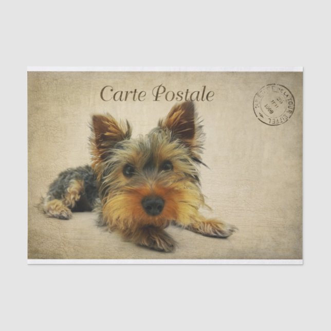 Papier Mousseline Ephemera Carte Postale Française Terrier Chien Déc (Recto)