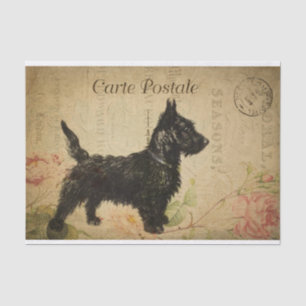 Papier Mousseline Ephemera Carte Postale Française Terrier Chien Déc