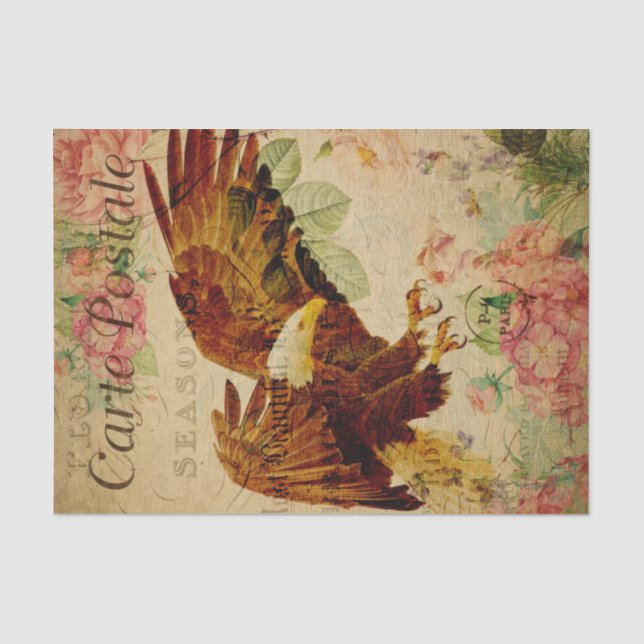 Papier Mousseline Ephemera Carte Postale Française Vol Eagle Découpa (Recto)