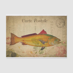 Papier Mousseline Ephemera Coloré Saumon Basse Poisson Découpage
