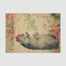 Ephemera French Carte Postale Pig Avec Découpage C