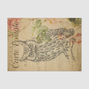 Papier Mousseline Ephemera French Postcard Line Art Owl Decoupage