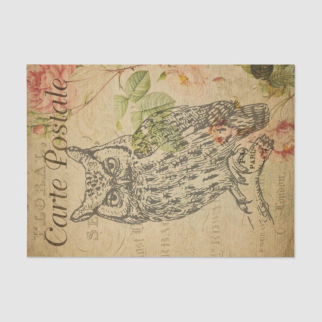 Papier Mousseline Ephemera French Postcard Line Art Owl Decoupage (Recto)