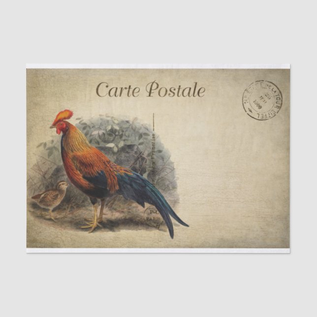 Papier Mousseline Ephemera French Postcard Roster Chick Decoupage (Recto)
