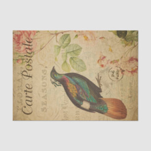 Papier Mousseline Ephemera Himalaya Monal Pheasant Déchoupage d'oise