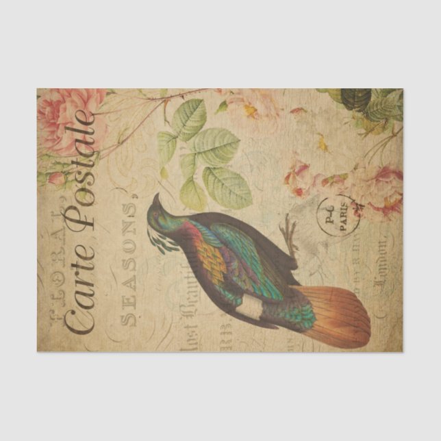 Papier Mousseline Ephemera Himalaya Monal Pheasant Déchoupage d'oise (Recto)