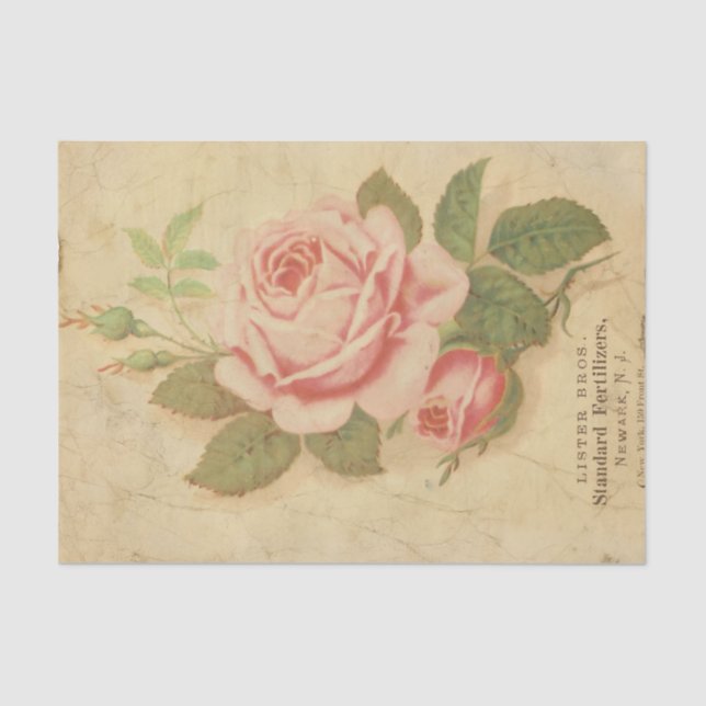 Papier Mousseline Ephemera Sheet Design Series #10 (Recto)