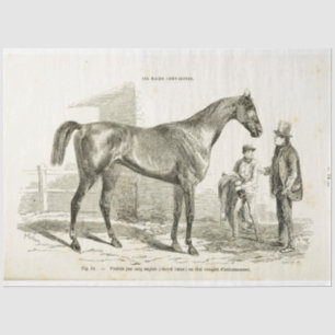 Papier Mousseline Ephémère Cheval Découpage Français Vintage Tissu P