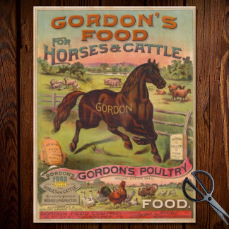 Papier Mousseline Éphémère de la publicité des aliments pour animaux